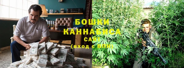 прущие крисы Арсеньев