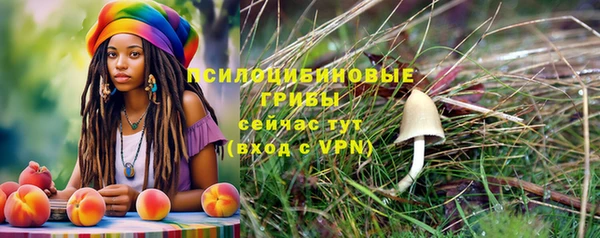 каннабис Аркадак