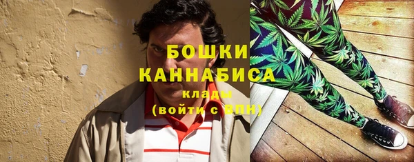 прущие крисы Арсеньев