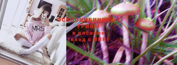 прущие крисы Арсеньев