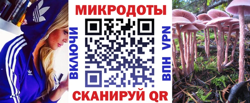 где продают наркотики Октябрьск Галлюциногенные грибы Psilocybe